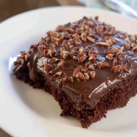 Texas Sheet Chocolate Cake #12